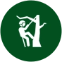 A specialized arborist services icon