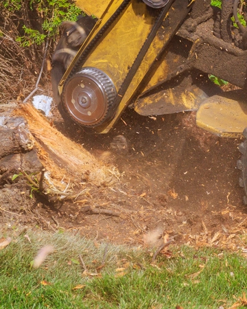 A stump grinding in Granite Bay, CA