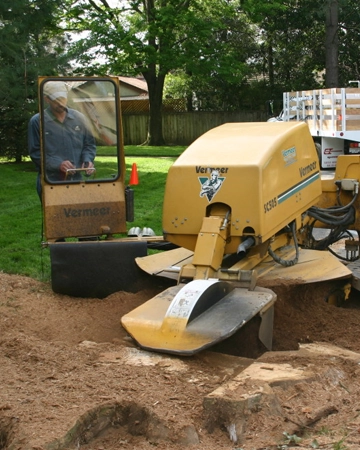 A stump grinder during a removal in Orangevale, CA