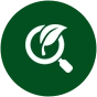A tree inspection & disease diagnosis icon