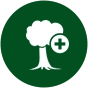 A tree & plant healthcare icon