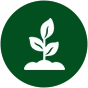 A tree planting Icon