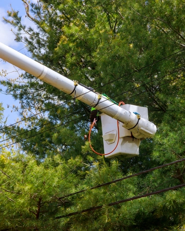 A bucket lift during tree pruning in Elk Grove, CA