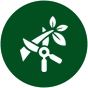 A tree trimming & pruning icon