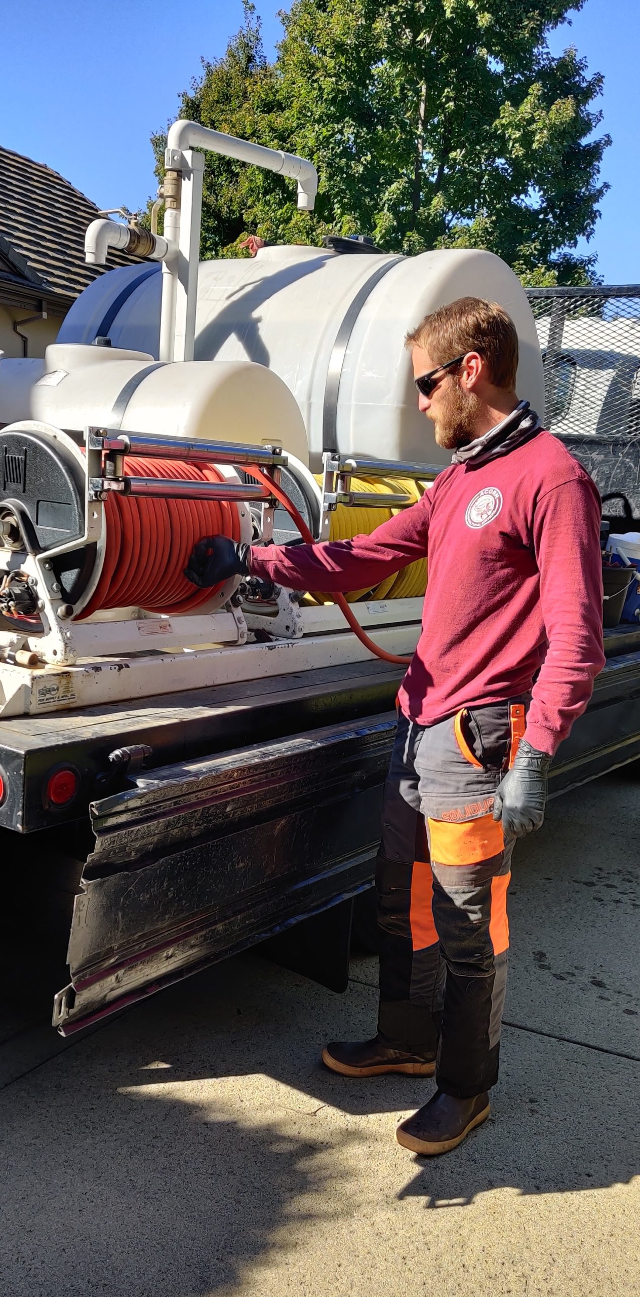 tree service in Granite Bay