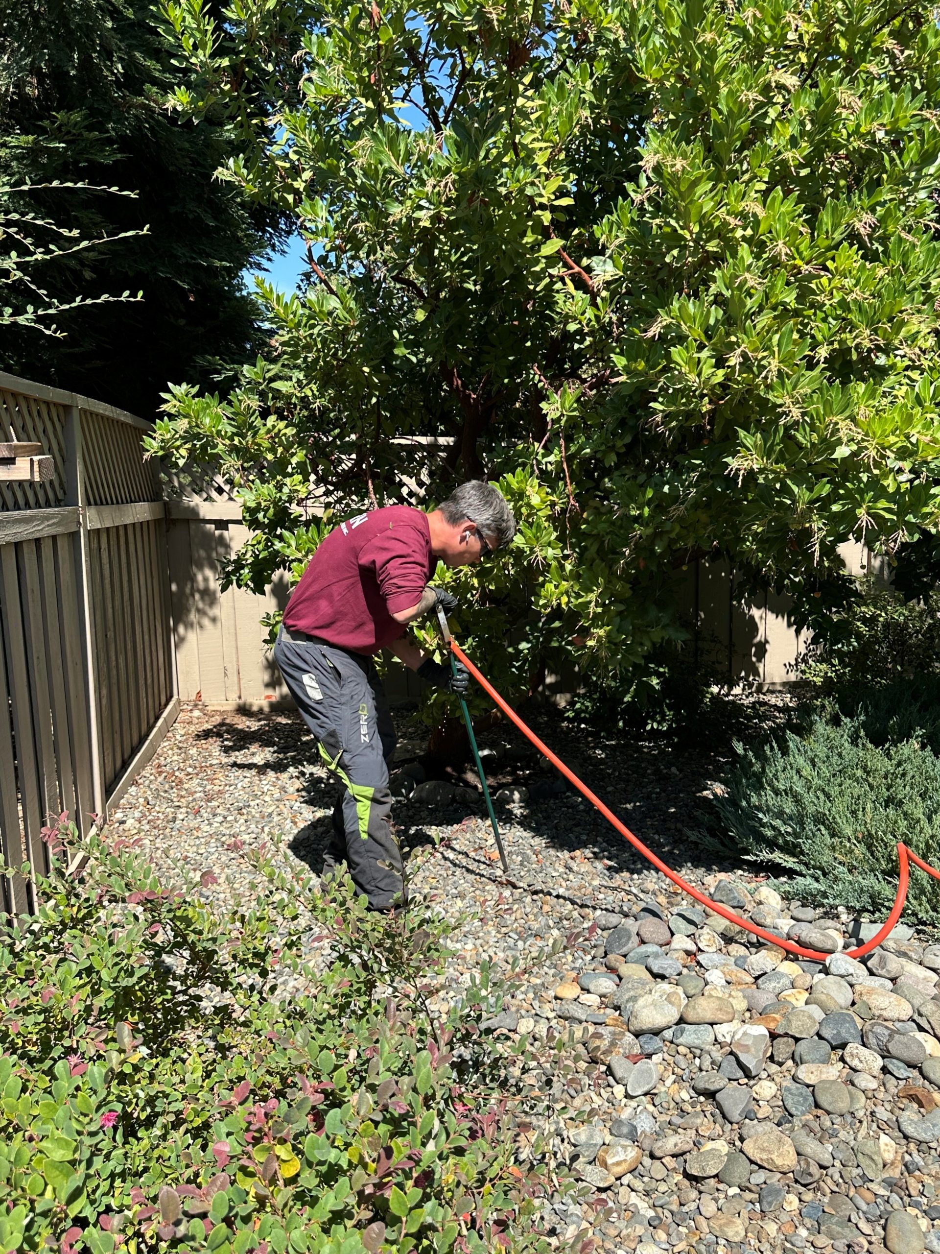 tree service in El Dorado Hills
