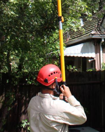 A crew member pruning during tree & plant healthcare in Folsom, CA
