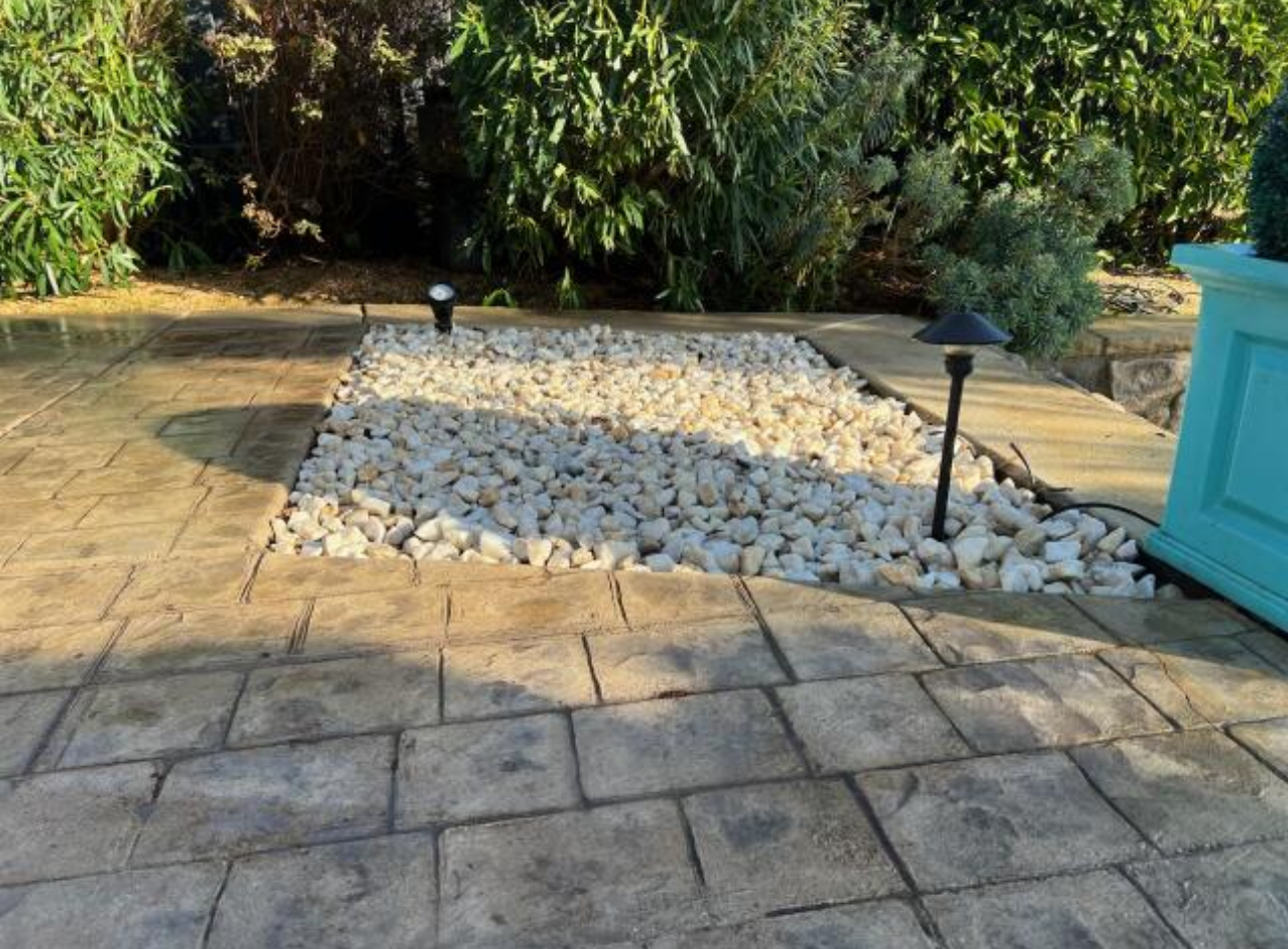 stump grinding & removal