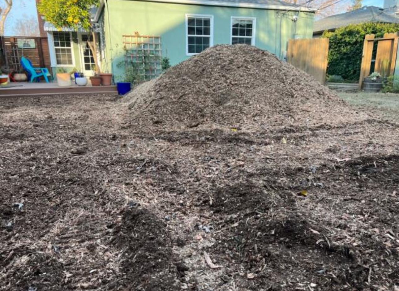 stump grinding & removal