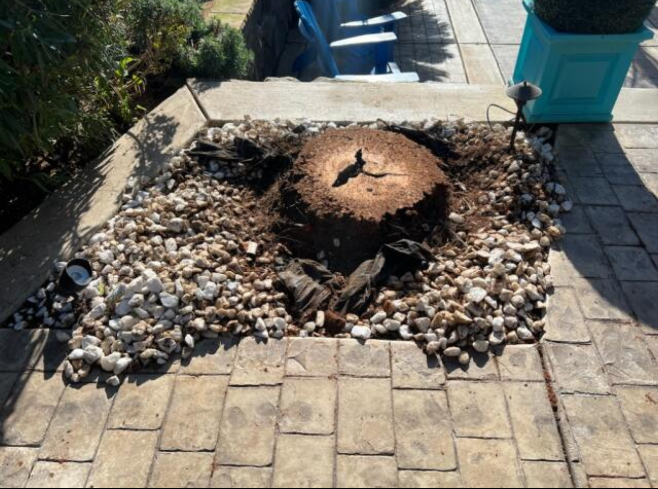 stump grinding & removal